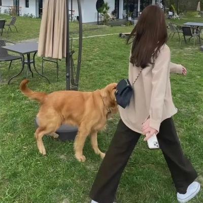 象山发光事件详细介绍